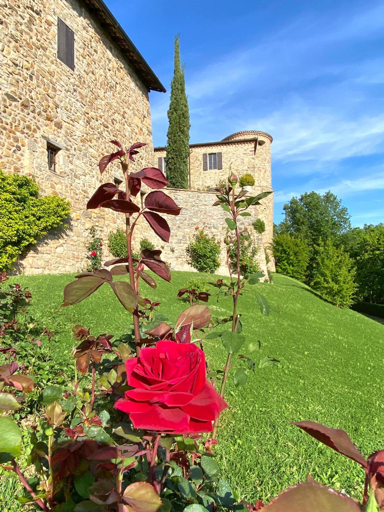 Villa Castello Di Viano Extérieur photo