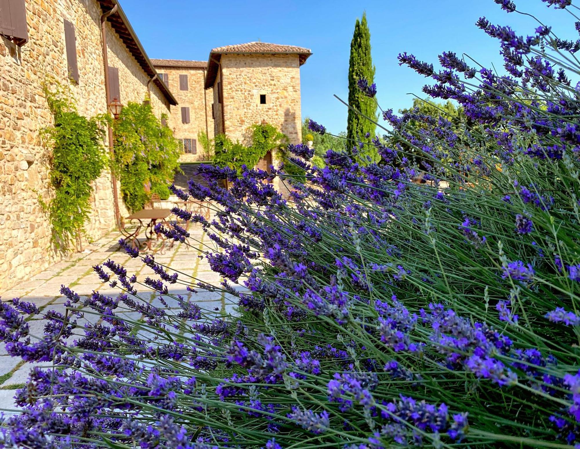 Villa Castello Di Viano Extérieur photo